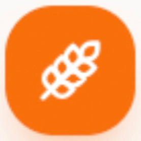 aiMenuScanner.xyz
