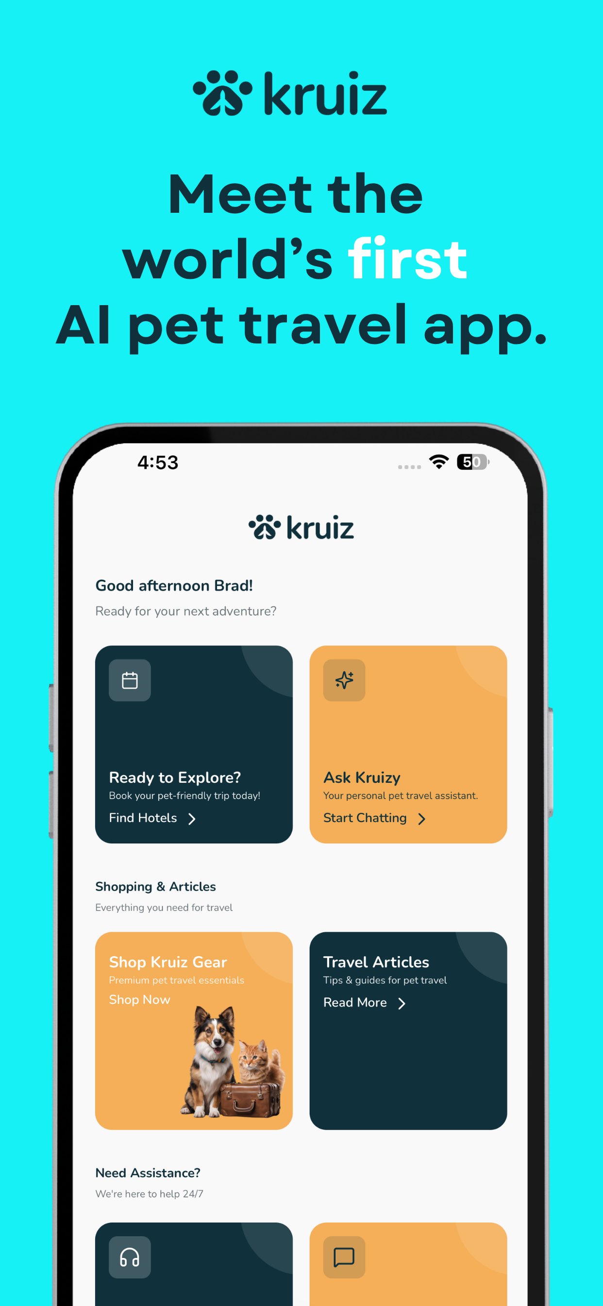 Kruiz screenshot