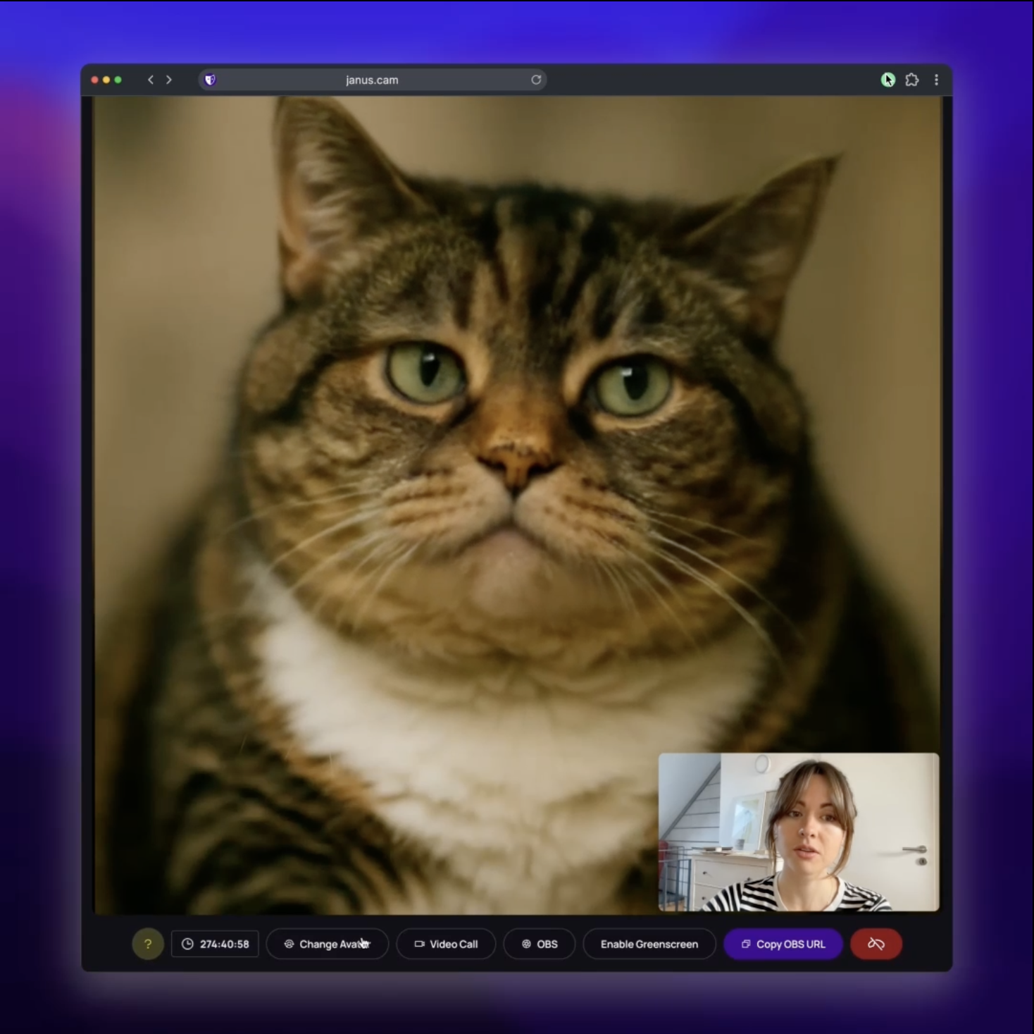 Janus screenshot 1