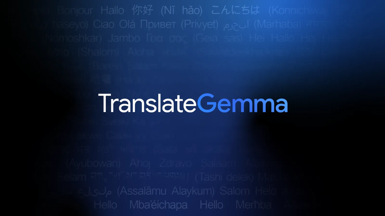 TranslateGemma screenshot 1