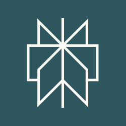 Perplexity Patents