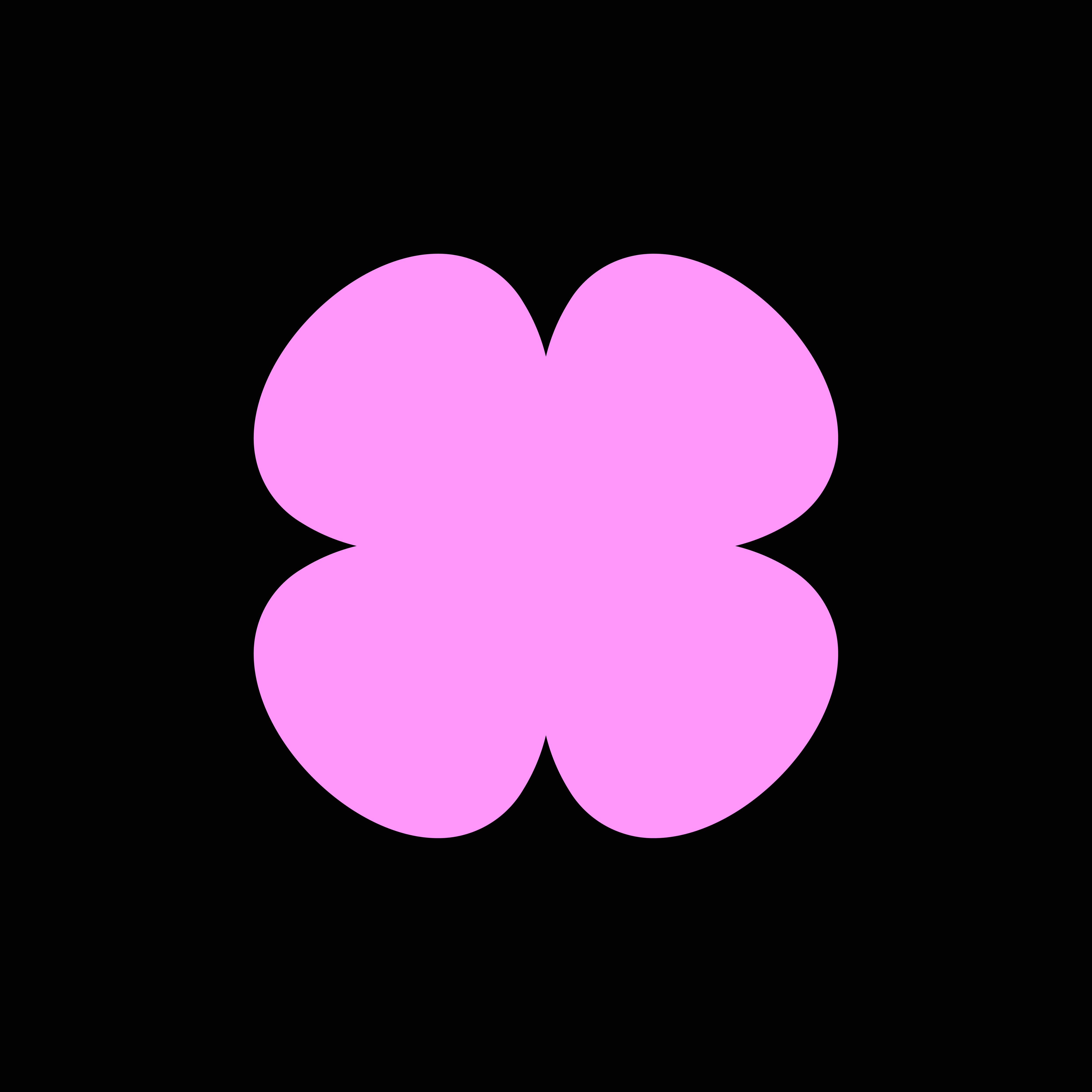 Orchids