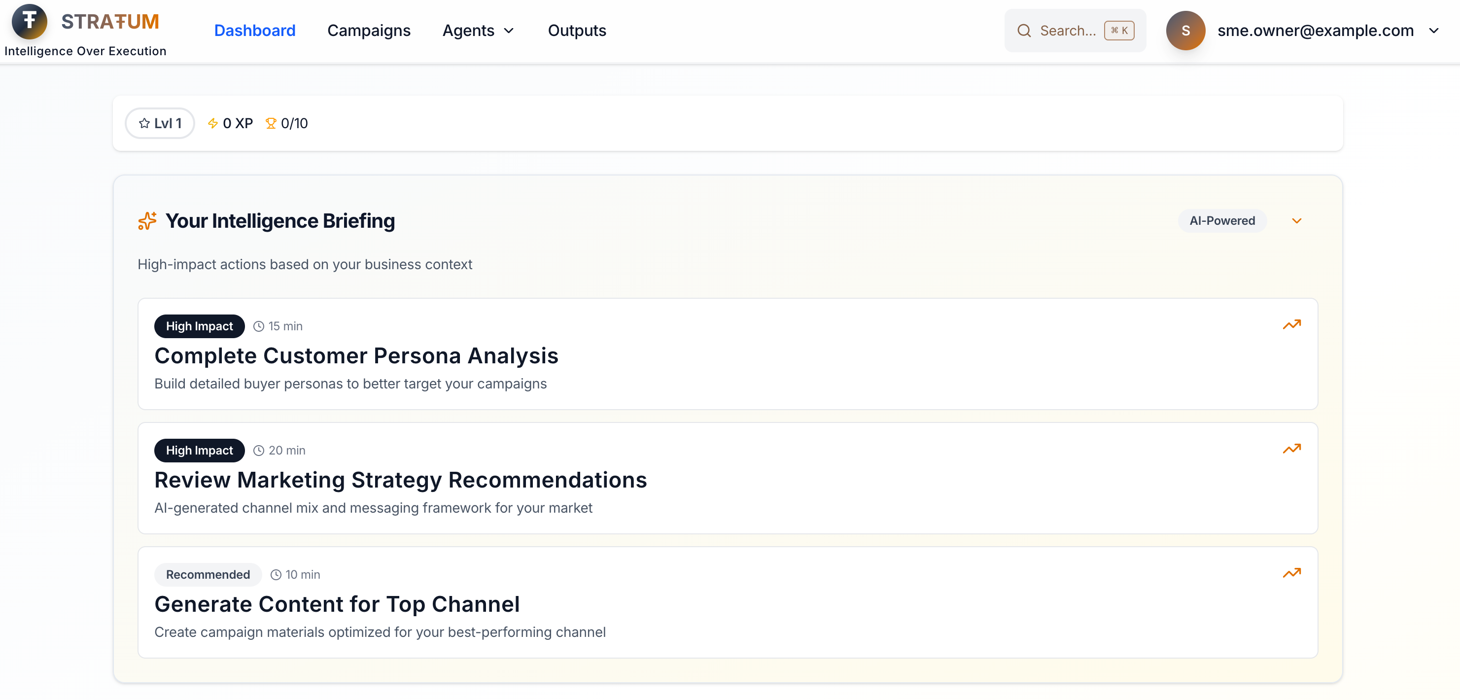 STRAŦUM - AI Marketing Intelligence  screenshot 4