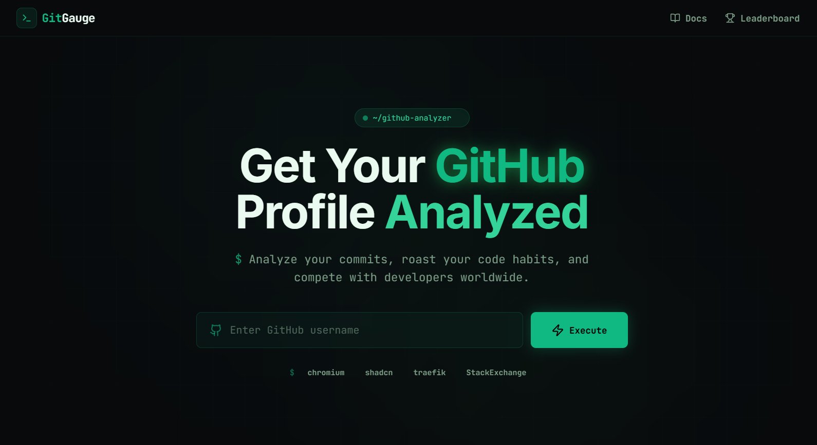 GitGauge — GitHub Profile Analyzer  screenshot 1