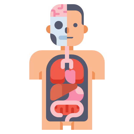 TalktoAnatomy